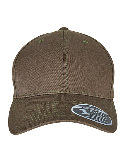 Flexfit 110 Curved Visor Snapback